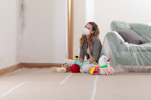 Reliable Crawl Space Mold Removal contractor in Mantua, NJ by WQB Mold Removal