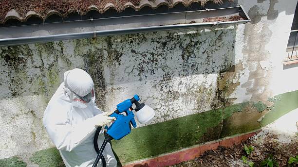 Top rated local Crawl Space Mold Removal specialists in Mantua, NJ